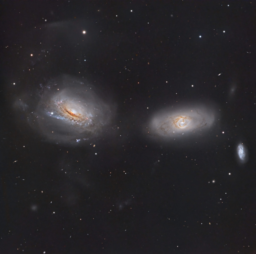 Unraveling NGC 3169